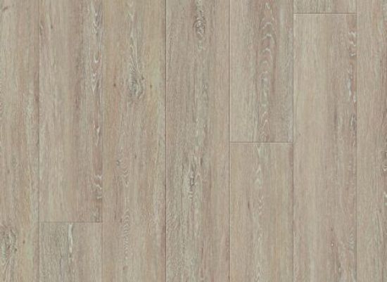 Picture of Everest Oak