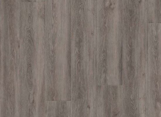 Picture of Logan Oak