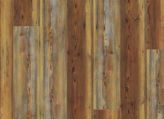 Picture of Appalachian Pine