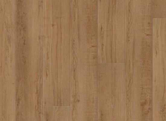 Picture of Waddington Oak