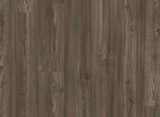 Picture of Keystone Pine