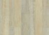 Picture of Accolade Oak