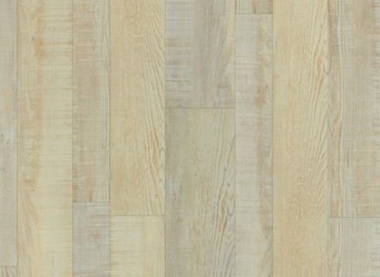 Picture of Accolade Oak