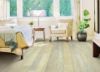 Picture of Accolade Oak