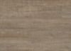 Picture of Harbor Oak