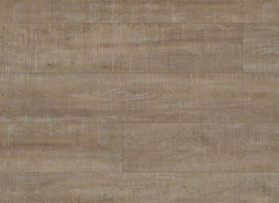 Picture of Harbor Oak