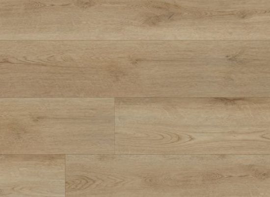 Picture of Medora Oak