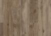 Picture of Nares Oak