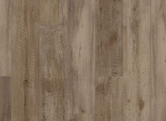 Picture of Nares Oak
