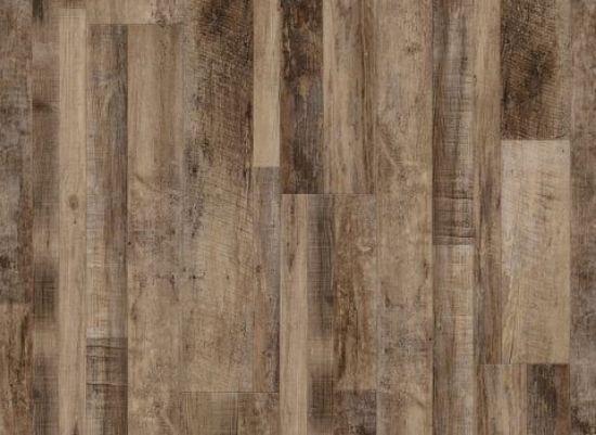 Picture of Marianas Oak