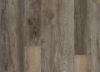 Picture of Galathea Oak