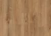 Picture of Manila Oak