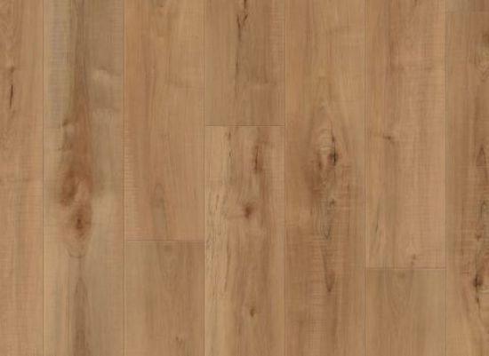 Picture of Manila Oak