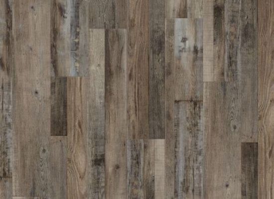 Picture of Aden Oak