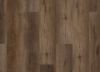 Picture of Canary Oak