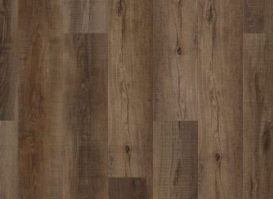 Picture of Canary Oak