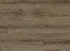 Picture of Alpine Ash