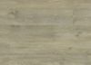 Picture of Plymouth Oak