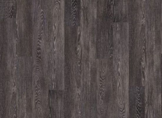 Picture of Carlisle Oak