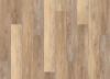 Picture of Reims Oak