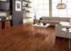 Picture of Gold Coast Acacia