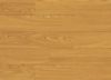 Picture of Rocky Mountain Oak