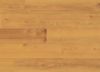 Picture of Norwegian Maple