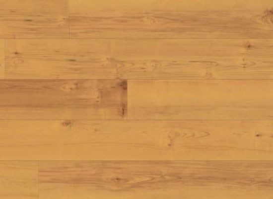 Picture of Norwegian Maple