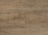 Picture of Nantucket Oak