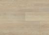 Picture of Ivory Coast Oak