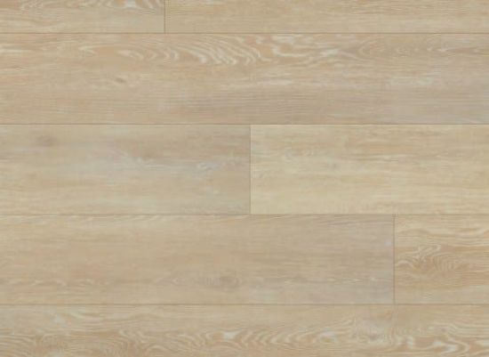 Picture of Ivory Coast Oak