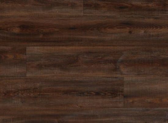 Picture of Olympic Pine