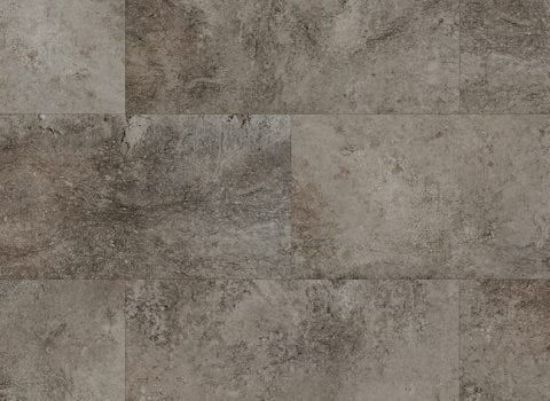 Picture of Silvered Stone