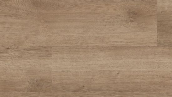 Picture of Copano Oak