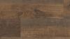 Picture of Duxbury Oak