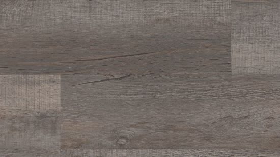 Picture of Galveston Oak