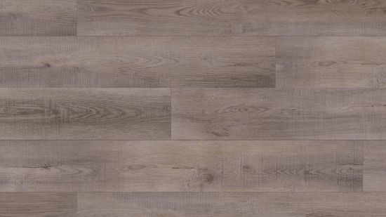 Picture of Laguna Oak