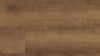 Picture of Monterey Oak