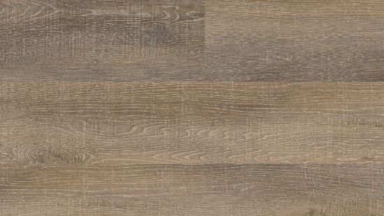 Picture of Laguna Beach Oak