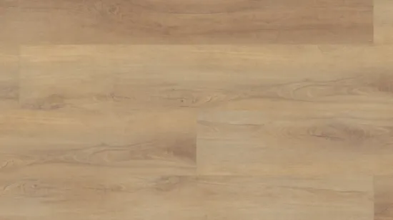 Picture of Canterbury Elm