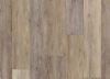 Picture of Twilight Oak