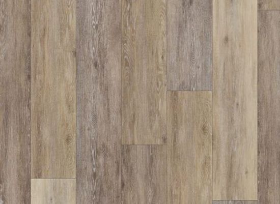 Picture of Twilight Oak