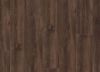 Picture of Shasta Oak