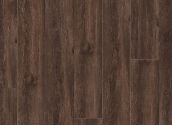 Picture of Shasta Oak