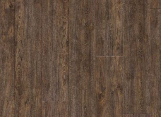 Picture of Colima Oak