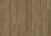 Picture of Treasure Pine