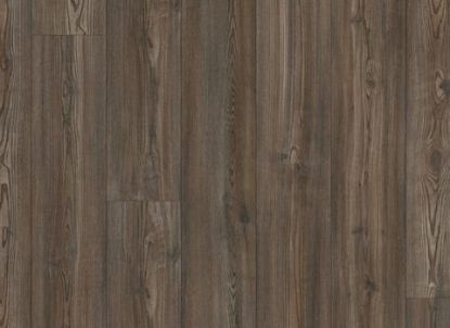 Picture of Keystone Pine