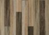 Picture of Divergence Oak