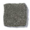 Picture of Anderson Tufttex PAWPARAZZI II