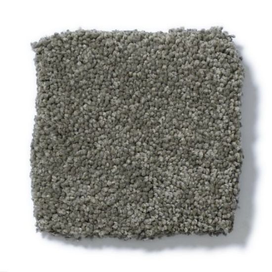 Picture of Anderson Tufttex PAWPARAZZI II